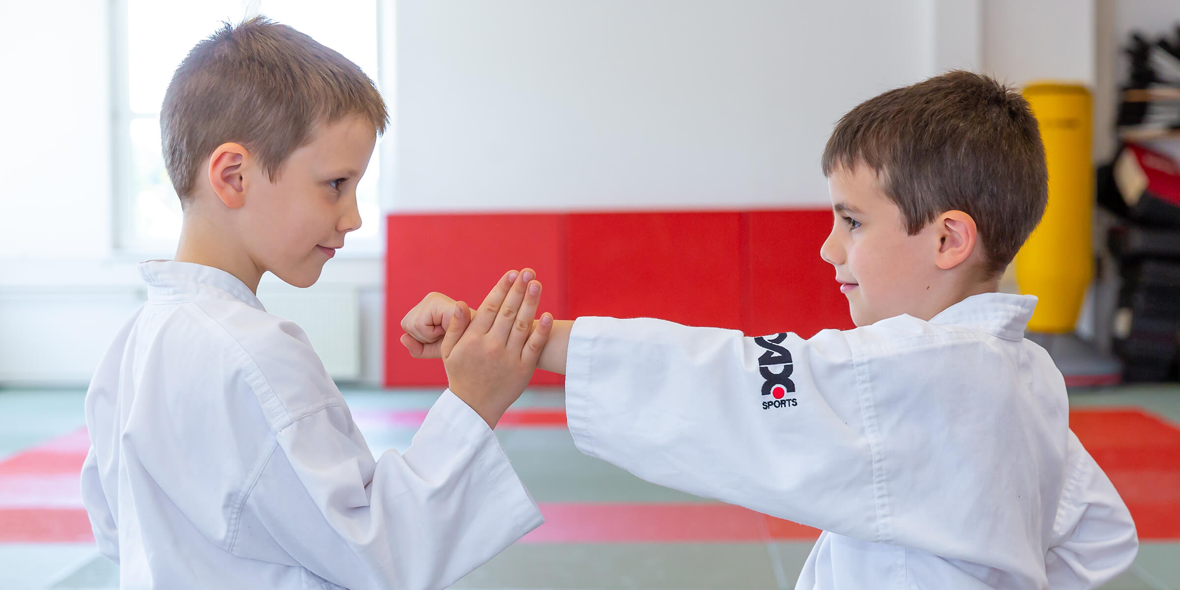 Sportschule Senshu - Banner - Karate